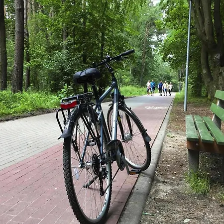 בית נופש Single-story Homes With A Terrace, Pool *