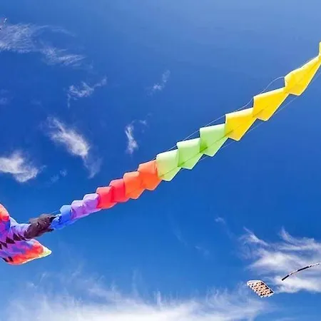 Single-story Homes With A Terrace, Pool *