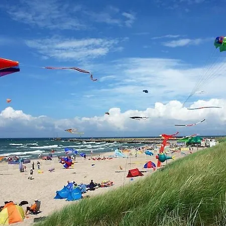 Single-story Homes With A Terrace, Pool