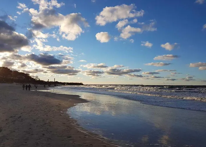 Single-story Homes With A Terrace, Pool Przewloka (Pomerania)