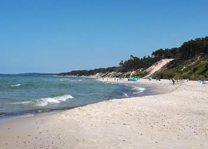 Single-story Homes With A Terrace, Pool * Przewloka (Pomerania)