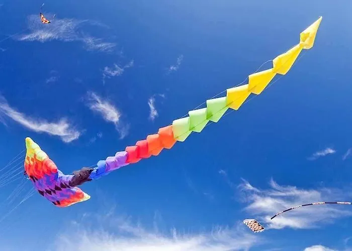 Single-story Homes With A Terrace, Pool *