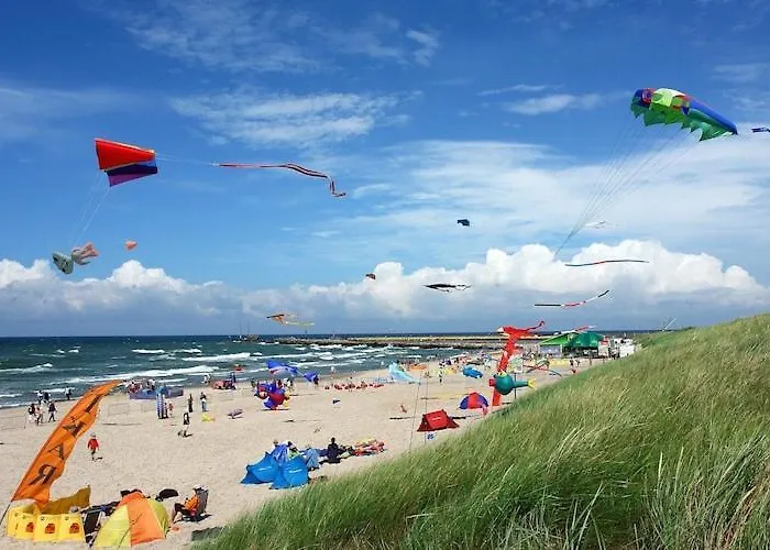 Single-story Homes With A Terrace, Pool