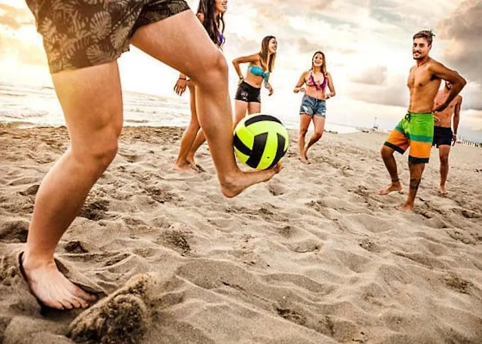 Single-story Homes With A Terrace, Pool * Przewloka (Pomerania)